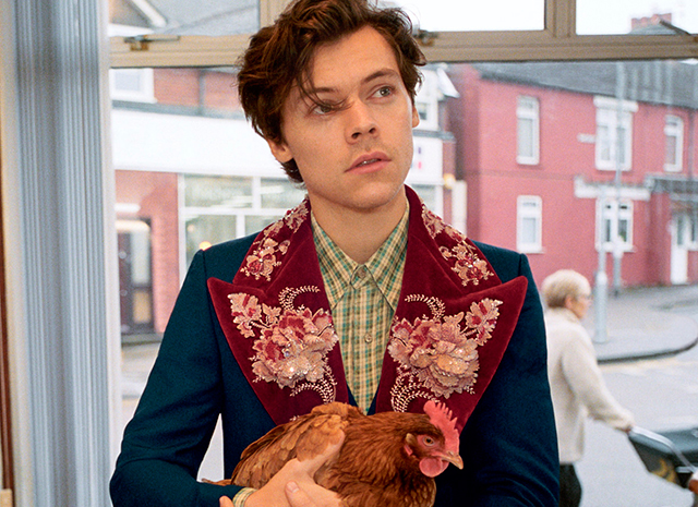 Фото - В шерстяных носках и с курицей: Гарри Стайлс в новой рекламе Gucci