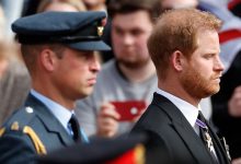 Фото - Эксперт по чтению по губам раскрыл, что принц Уильям сказал принцу Гарри у гроба Елизаветы II
