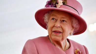 Фото - В Букингемском дворце заявили, что врачи обеспокоены здоровьем королевы Елизаветы II