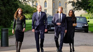 Фото - Герцоги Сассекские могут встретиться с Кейт Миддлтон и принцем Уильямом в декабре в США
