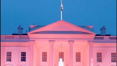 Фото - Вашингтонский Белый дом окрасился в розовый по случаю Месяца борьбы с раком груди